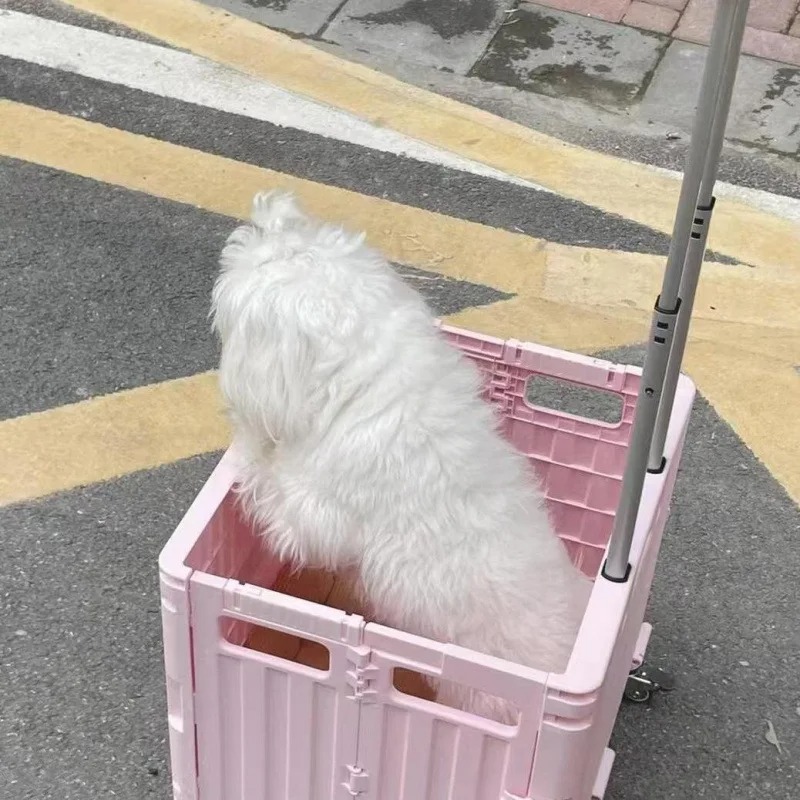 عربة تسوق قابلة للطي مريحة للس - مراجعة Outdoor Camping Trolley وسعره