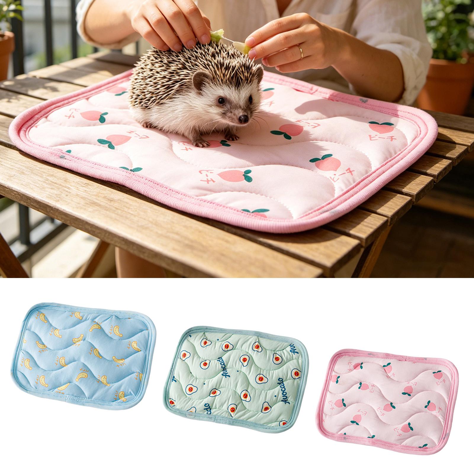 بساط تبريد للحيوانات الأليفة ق - مراجعة Outdoor Camping Dog Bed وسعره